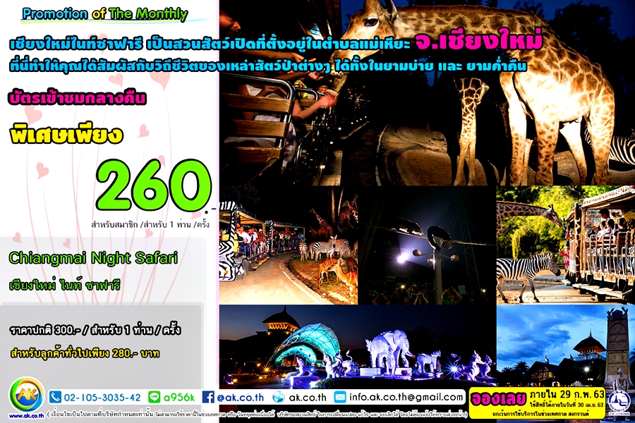 41 Chiangmai Night Safari