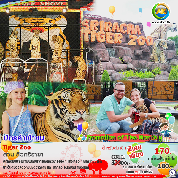 062 Tiger Zoo 