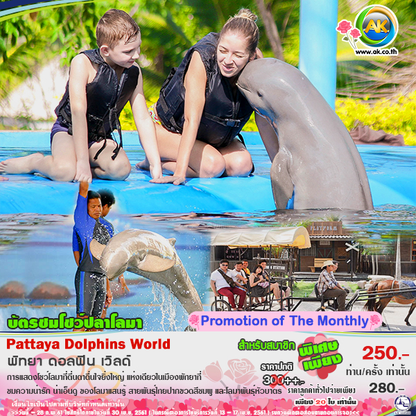069 Pattaya Dolphins World