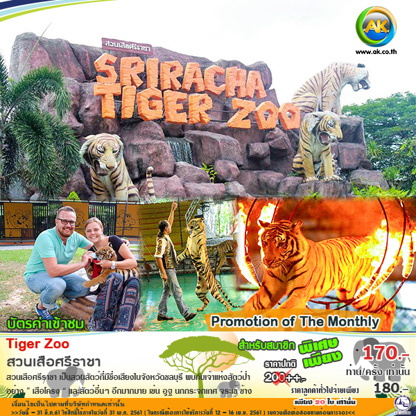 63 Tiger Zoo