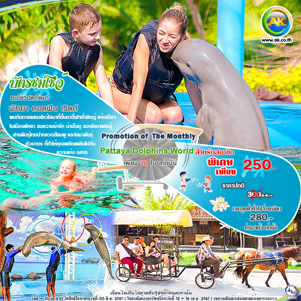 068 Pattaya Dolphins World