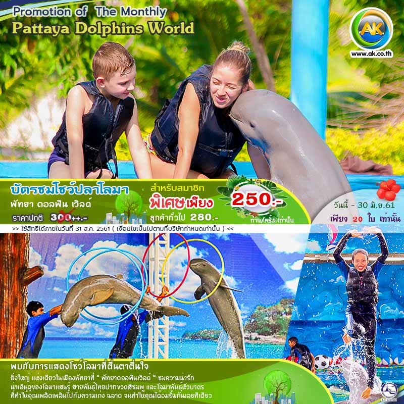 072 Pattaya Dolphins World