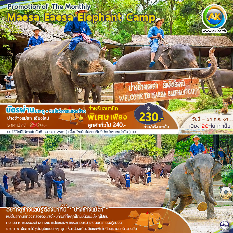 74 Maesa Eaesa Elephant Camp