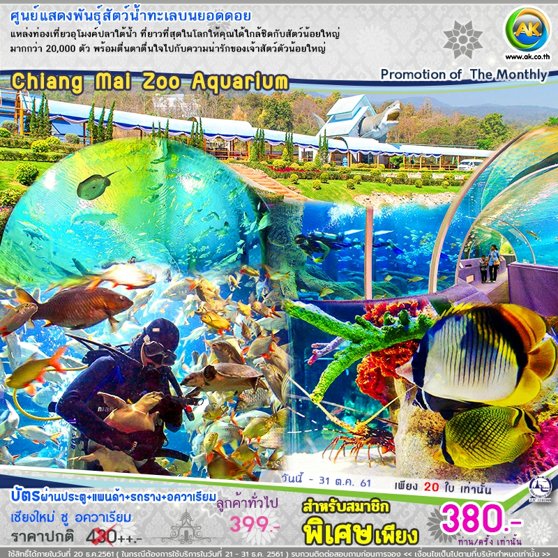 69 Chiang Mai Zoo Aquarium