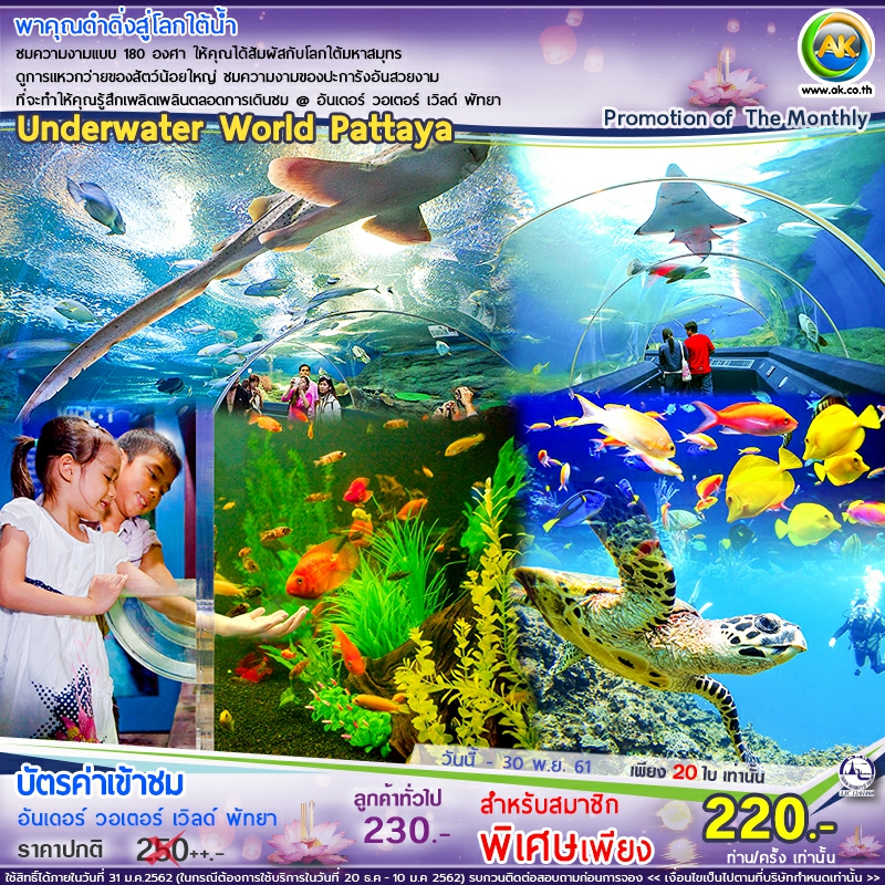 66 Underwater World Pattaya