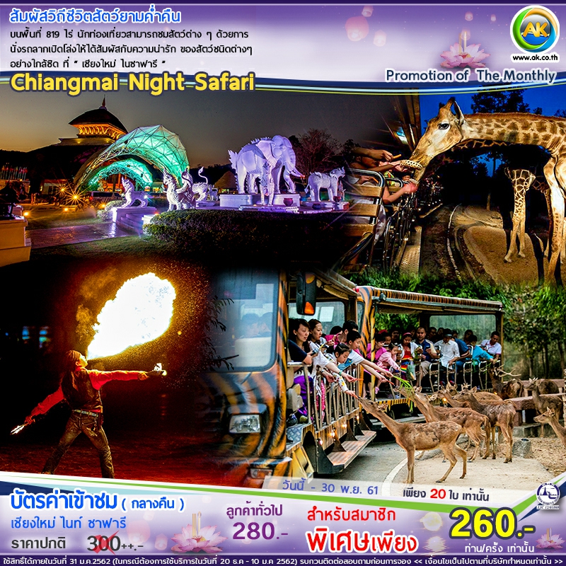 67 Chiangmai Night Safari