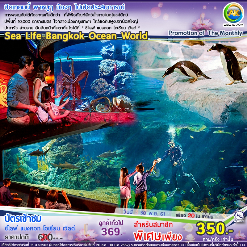 68 Sea Life Bangkok Ocean World