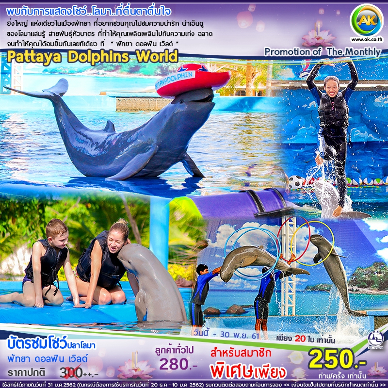 69 Pattaya Dolphins World