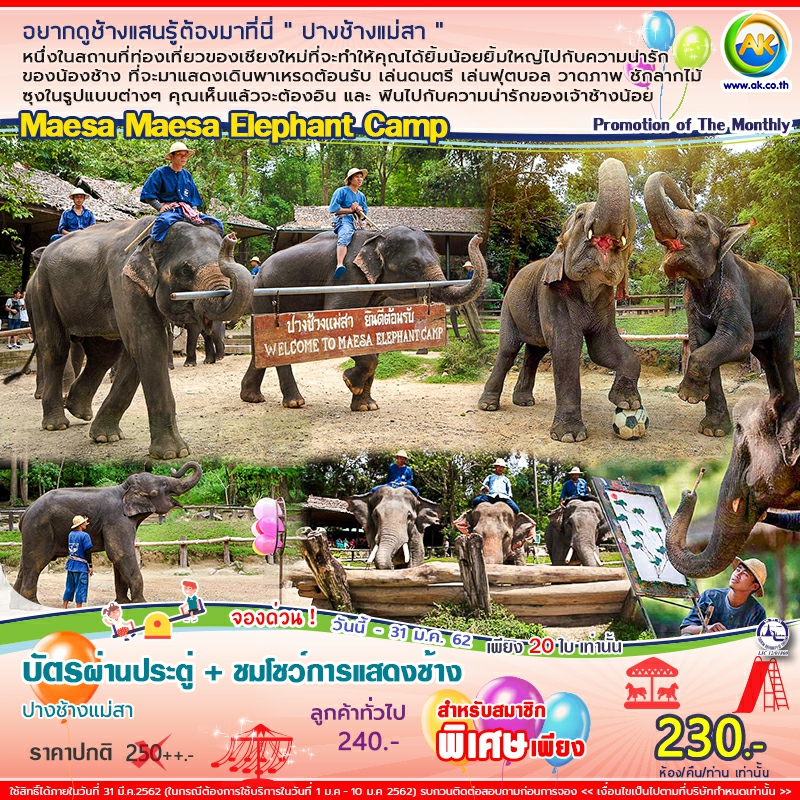 65 Maesa Maesa Elephant Camp
