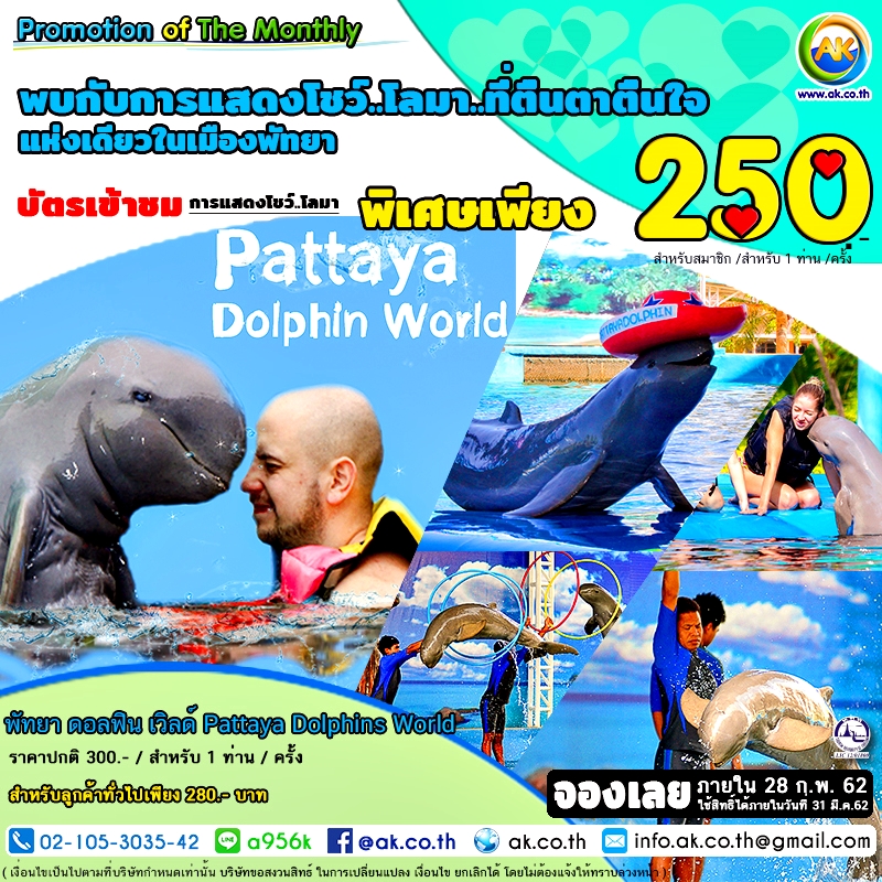 043 Pattaya Dolphins World