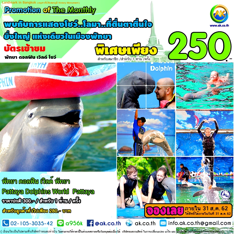 042 Pattaya Dolphins World