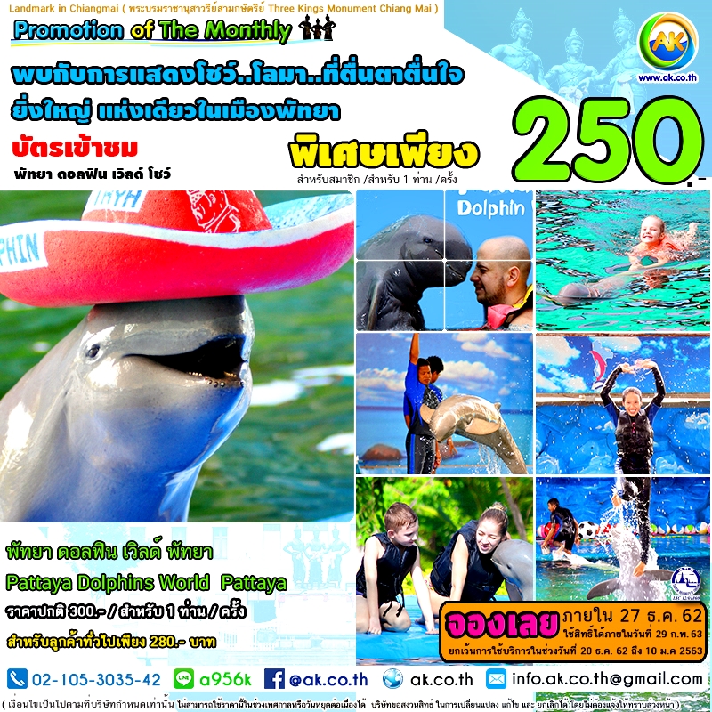 041 Pattaya Dolphins World