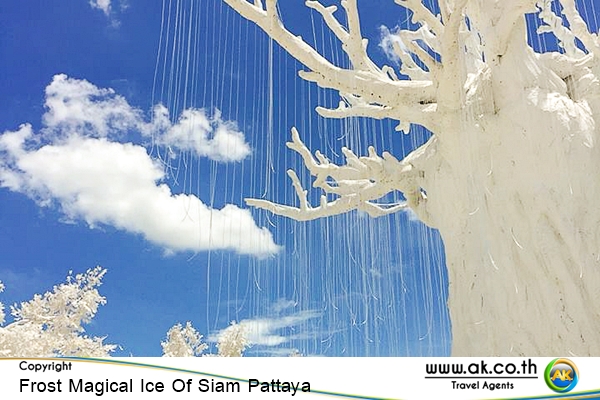 Frost Magical Ice Of Siam Pattaya09