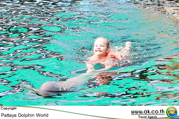 Pattaya Dolphin world พทยา ดอลฟน Swimming with Dolphin 5