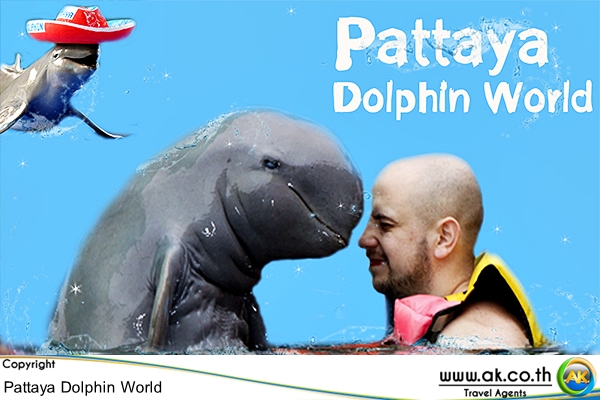 Pattaya Dolphin world พทยา ดอลฟน เวลด 21