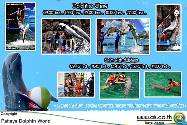 Pattaya Dolphin world พทยา ดอลฟน เวลด 22