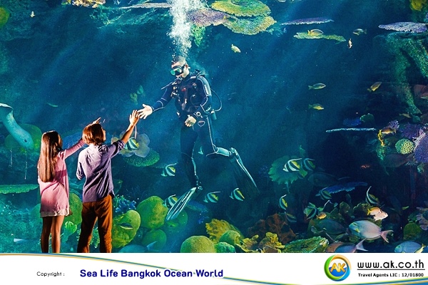 Sea Life Bangkok Ocean World14