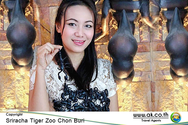 Sriracha Tiger Zoo Chon Buri04