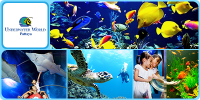 016 Underwater World Pattaya