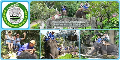 samphran elephant ground  zoo