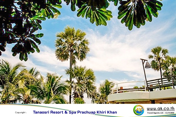 Tanaosri Resort Spa Prachuap Khiri Khan18