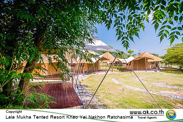 Lala Mukha Tented Resort Khao Yai Nakhon Ratchasima05