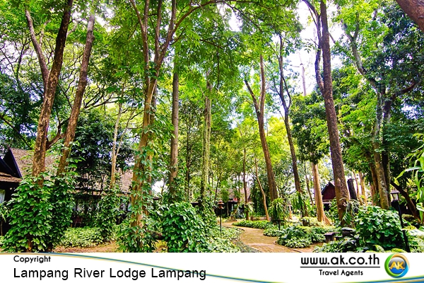 Lampang River Lodge Lampang05