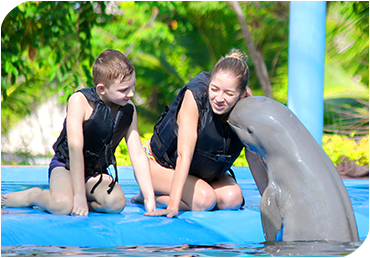 Pattaya Dolphin 2 2