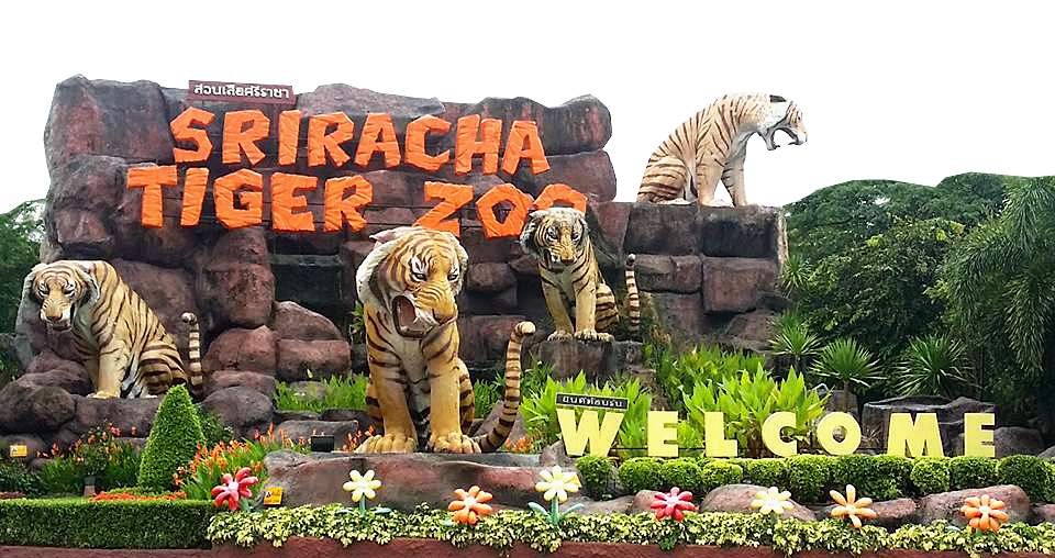 Sriracha Tiger Zoo 7