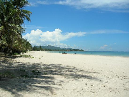 beach-in-front-of-the